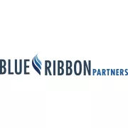 BLUE RIBBON PARTNERS logo