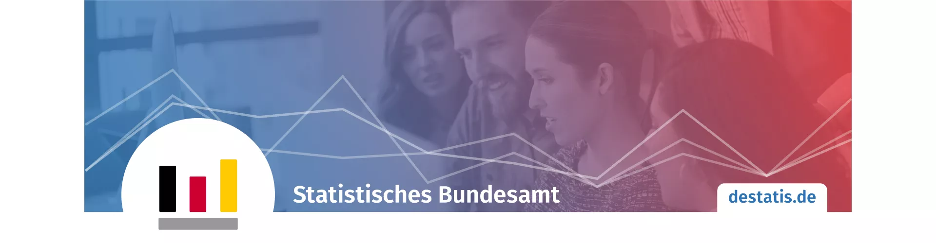 Statistisches Bundesamt (Destatis) cover